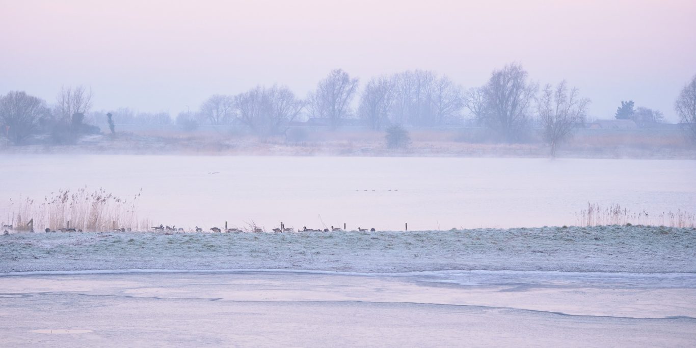 WINTER RIVIER