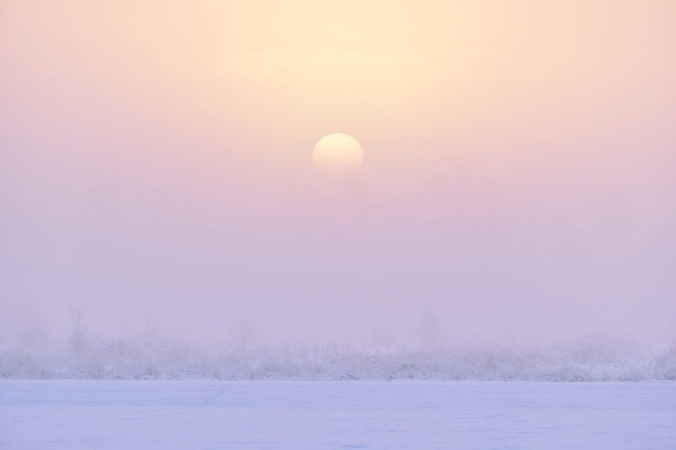 WITTE WERELD 2/2